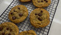 Chocolate Chunk Cookie